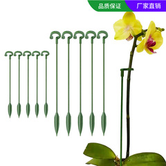多肉胡蝶蘭専用花架ステント植物鉢植え花卉造形支持棒固定倒伏防止保護葉架