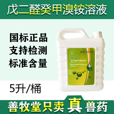 兽用戊二醛癸甲溴铵消毒剂养殖场 消毒液 5公斤大包装 兽药 批发