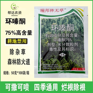 75%�h�ͪ�w����ɭ�ַ�����F·�Գ��s�����ӹ�ľ�_�ĳ��݄�50��