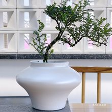 新中式禅意陶瓷花盆盆景艺术创意花器桌面装饰蝴蝶兰绿植盆