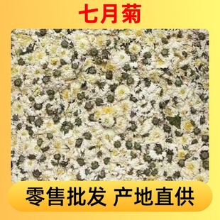 �������l �ջ������¾վջ�����b����S�����l�׾ջ�