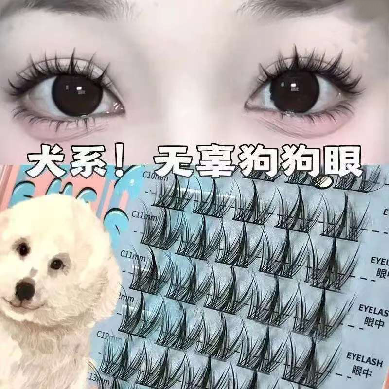 Canine falso pestañas inocente ojo de perro pestañas cómic Barbie natural trilogía segmentación un solo grupo novato