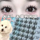Canine False Eyelashes Innocent Dog Eyelashes Comic Barbie Nature Trilogy Segmented Single Cluster Novice