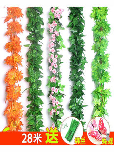 �����Gֲ���ٗl�G�~����bٻ������̨�ڳ����������~