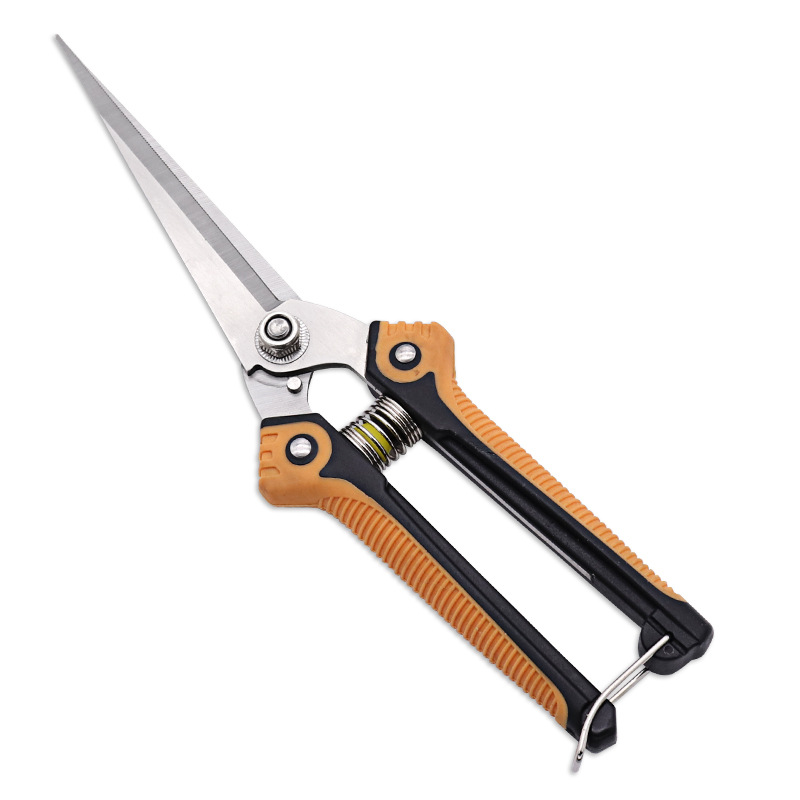 厂家批发不锈钢稀果剪 水果葡萄剪刀 摘花摘桔子蜜柚剪刀