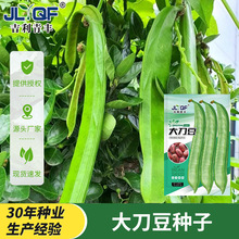 �󵶶��N�Ӵ����ļ����N���͟��߲˒��������L�󵶱ⶹ�ǷN�Ѵ�ȫ