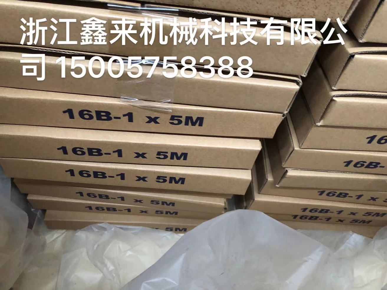 16B-1/16B-2/16B-3高强度精密滚子单排双排及多排链条链轮