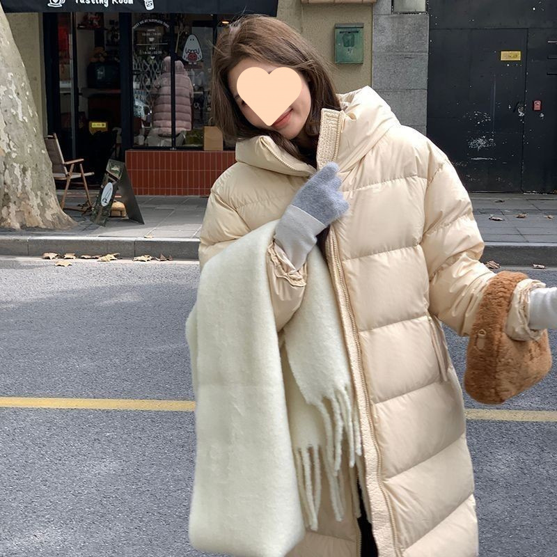 치즈 옐로우