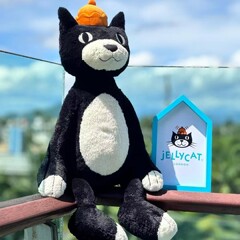 イギリスの縁起の良い猫のぬいぐるみを卸売りします。