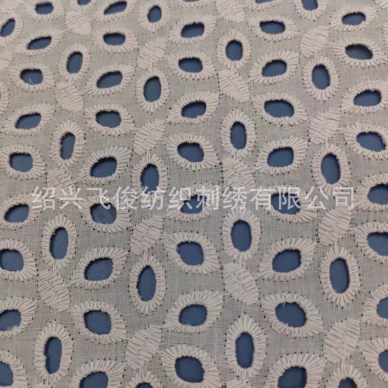 全棉打孔绣花布 棉布大机绣花 时装用布 镂空绣花棉布 厂家直供