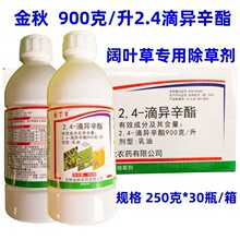 金秋24滴异辛酯小麦玉米青稞草坪一年生阔叶杂草农药除草剂24D