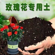 精品月季玫瑰专用土壤花土营养土养花种植通用花泥种植肥料