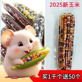兔子主粮;其他小宠用品;仓鼠窝、笼