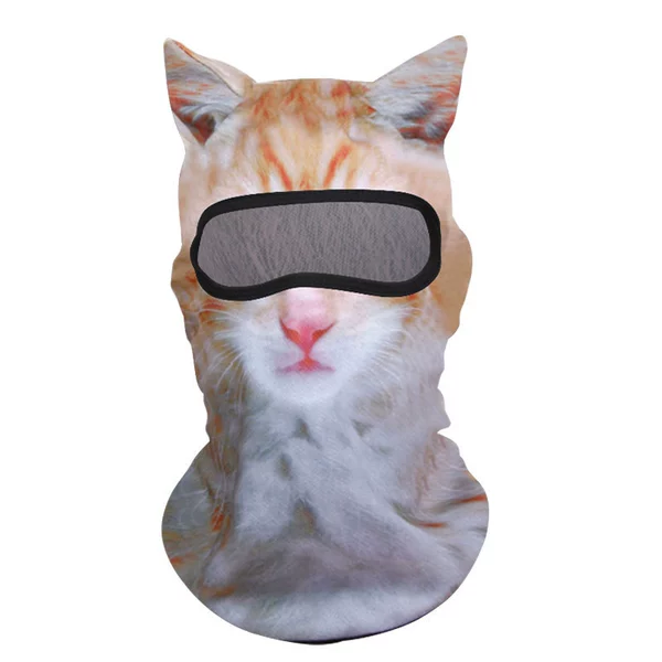 M2501-orange cat