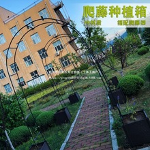 ���ټܾW���λ��ܽz�ϼ��S�ϼ����Ѽ�ֲ�������ܷNֲ�京��ֲ���