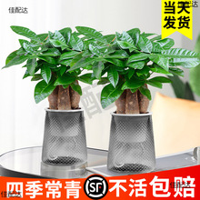 �lؔ��С���Ԕ[���k���ҾG�}�j�Gֲ����ˮ��ֲ���҃Ȼ������F��