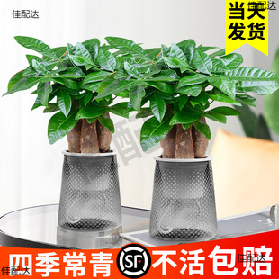 �lؔ��С���Ԕ[���k���ҾG�}�j�Gֲ����ˮ��ֲ���҃Ȼ������F��