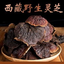 Ұ`֥Ұ`֥Ȼخa֥Ƭ߅`֥ݾ