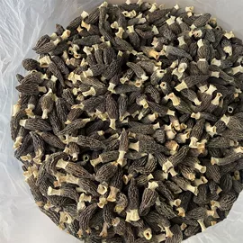 其他干货;其他方便食品;蘑菇