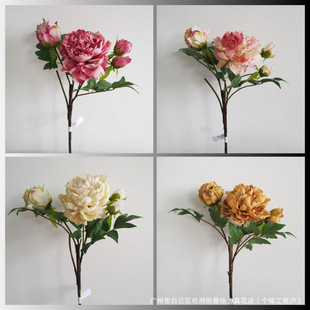 �S�����l�ͮ�ĵ���Wʽ�͹Ž�߅ĵ���Ҿ��bٻ��[����ˇ�廨�[�O