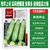 Han Yu's early green cashburies Seed manufacturers wholesale fast -growing precocious pure gourd seeds small vegetable garden farmhouse 孑