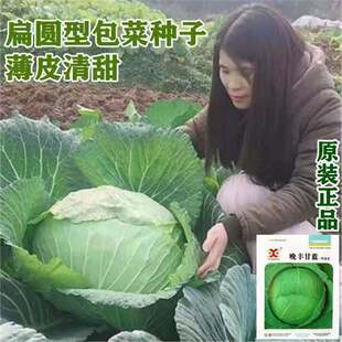 ���S���{�N�ӷN������Ĳ˰����ݲ��Ѵ��^�˰ײ˰��Ĳ˴�����ͺ�