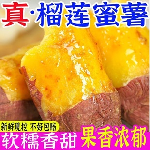 ������ɏ�����S���������r9�ﬔɯ��t���عϳ�����ɯ�t������