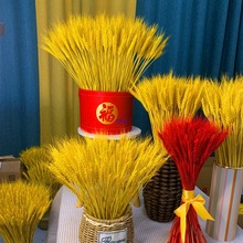 ɻ Сӻ _I@bYƷĔzȻֲb