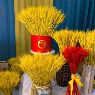 ����ɻ� С���ӻ��� �_�I������@�bYƷ�Ĕz������Ȼֲ���b�