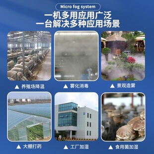 ����܇�g���m�Bֳ�����ظ߉����F���^���F�C�S���ӝ��F���Fɭϵ�y