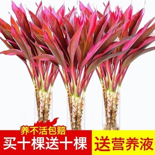 �������\���^���F����~��ˮ��Gֲ�����҃ȿ͏d�����՚��������l