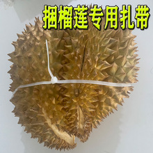 �������l��ɏ�����ڰײ�ɫ���iʽ��������5*650�Ӻ���L��������