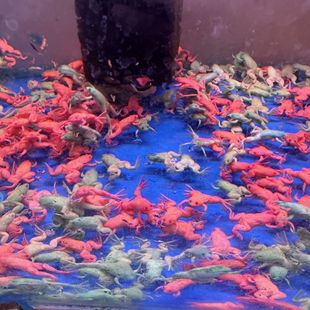 �Ϻ��^�p�ܽ��ܲ��܌�����ܻ��w��ˮ���B�ͻ�[�����B�׻���]