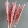 Small pink reeds (15 pieces/bundle)