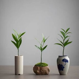 ���С����������~��ֲ���҃Ȼ����k���������ļ����B������Gֲ