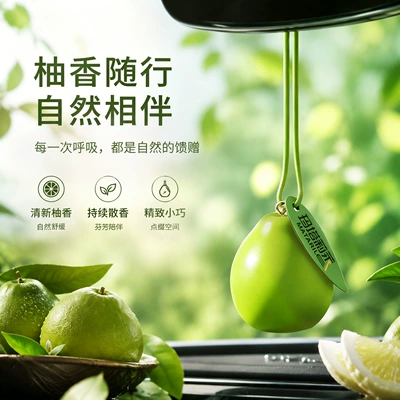 Fragrance Diffuser, Light Fragrance, Car hanging