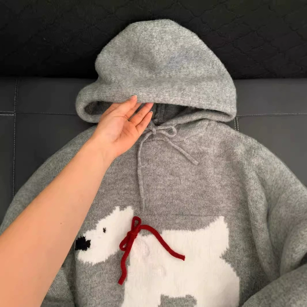 Knitted Hooded Sweater, Teen Unisex, Demi-Season Gray, One Size, Dog Motif