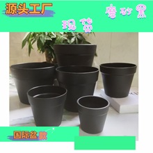 �������ֲ���������ϻ���С������С�[����ɫĥɰ���Hpp���|