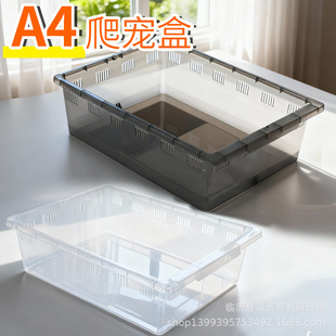 ���x��B������������Q����֩�����������΁ţ���������x����A4