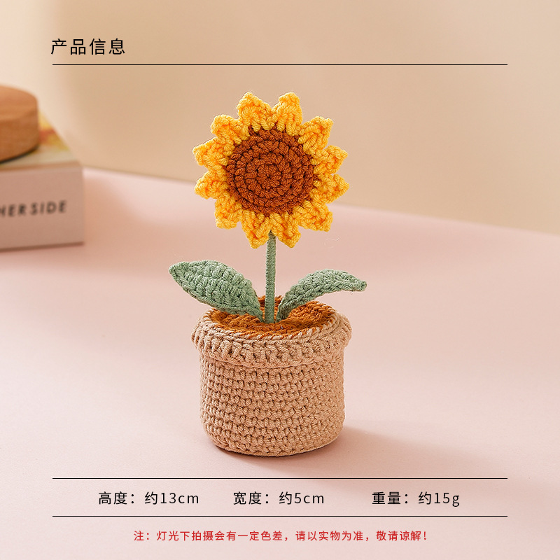 Plantar en maceta de lana - girasol