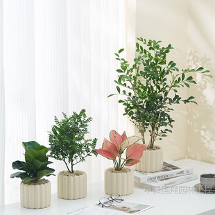 �k���������҃ȾGֲС���������L�[���҃�����ȩ�����՚��ļ����B