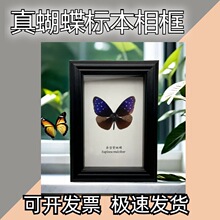 ������˱���� �W���L�b�DIY�͹����Ҿ�����С�[�����նY��