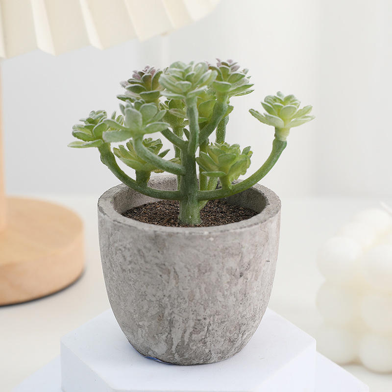 鉢植えのパルプの植毛の多い肉の鉢植えの家庭のデスクトップの事務室の置物をシミュレーションします。|undefined