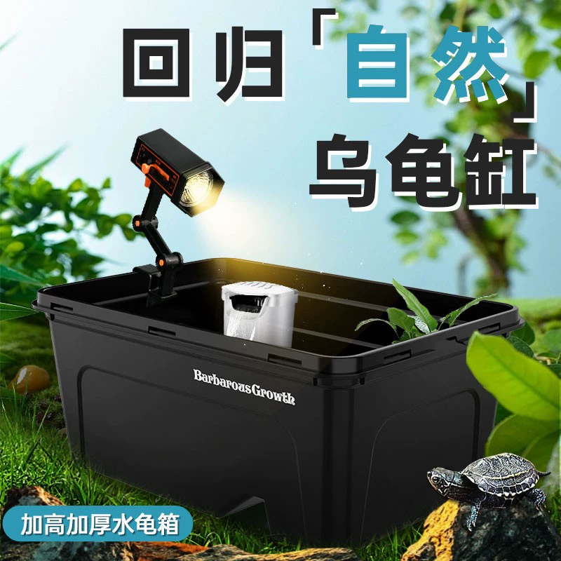 Черепаха аквариум для домашнего обихода