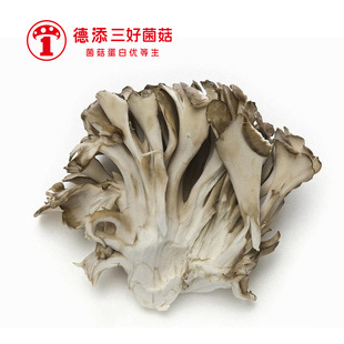 ������������150g�Ҝ����ʳ���보�����l�����Ϻ��l؛���|ʳ��
