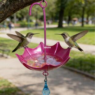 �羳Hanging Feeder�Fˇιʳ���๦���B�ιˮ�����@�����@ˇ���