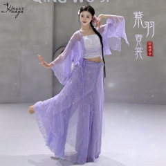 新しいスタイルの古典的なダンスの服装の国の風の仙の気が漂っている紗の服の外で中国のダンスの訓練の服の表の演出服のスーツの女性をはおっています。