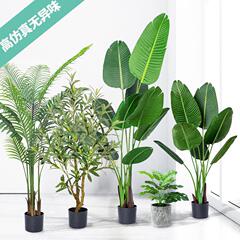 シミュレーション緑植シミュレーション樹散尾葵シミュレーション鉢植え室内装飾偽樹植物盆栽旅人バナナ卸売り