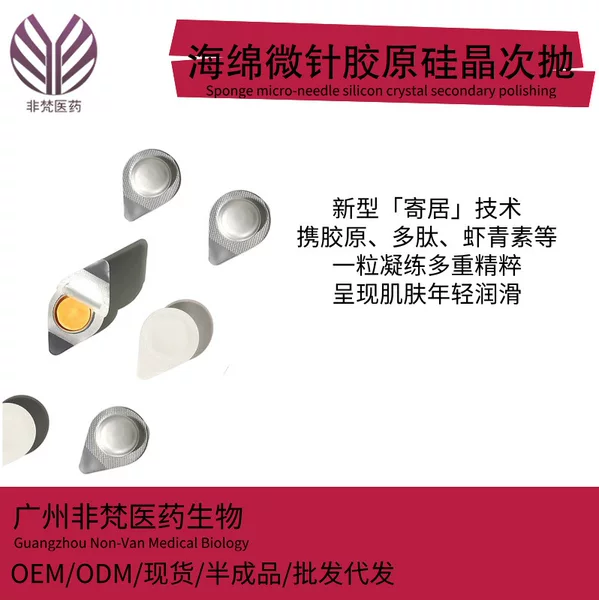 Type 3 Collagen Silicon Crystal Freeze-Dried Sponge Microneedle Skin Rejuvenation Flash-Release Sheet Wholesale Dropshipping Oil Control