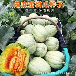 ֥������ϷN������������ϳ�����ǹ��ļ������҃����ԹϹ�